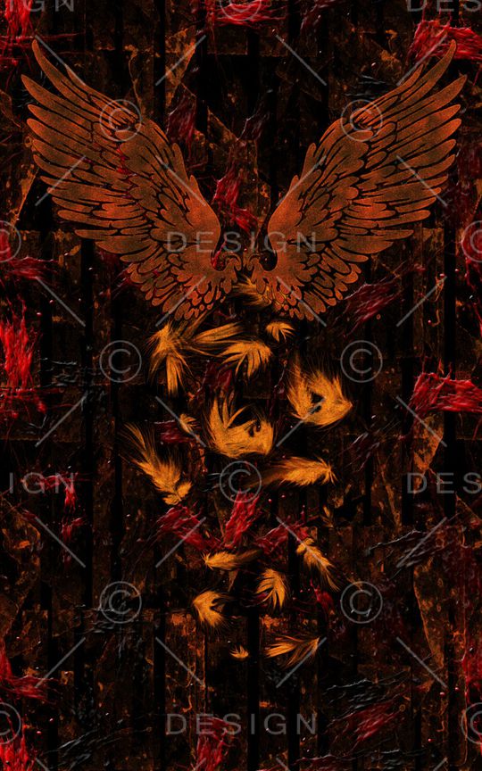 羽毛印花华亿平台图片