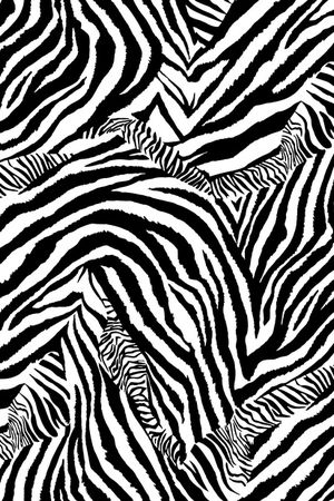 格子印花华亿平台图片