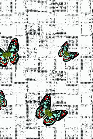 蝴蝶印花华亿平台图片