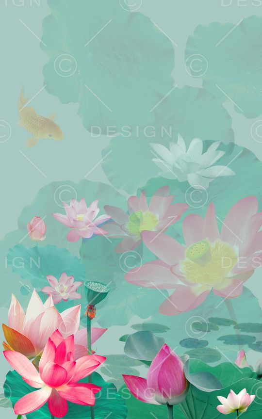 荷花印花华亿平台图片