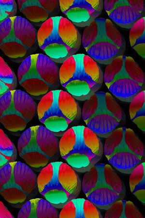 大牌风印花华亿平台图片