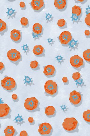 水果印花华亿平台图片