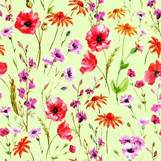 狗尾巴草印花华亿平台图片