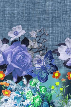 蝴蝶印花华亿平台图片