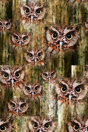 动物纹印花华亿平台图片