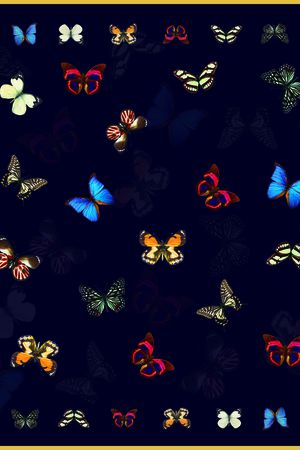 蝴蝶印花华亿平台图片