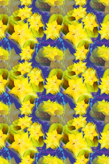 1168571-190111-俏皮水果-13-2