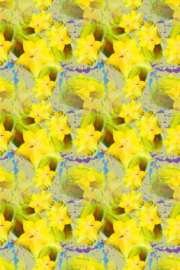 1168572-190111-俏皮水果-13-0