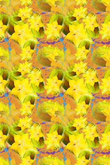 1168573-190111-俏皮水果-13-3