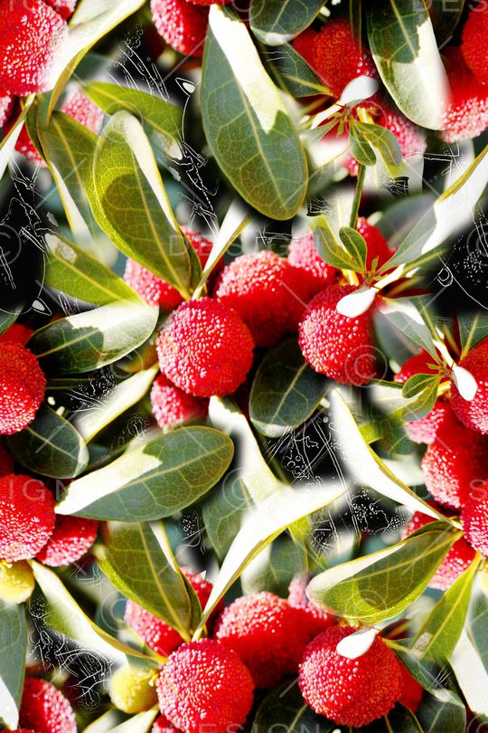 趣味印花华亿平台图片