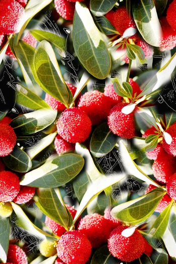 1168576-190111-俏皮水果-14-0