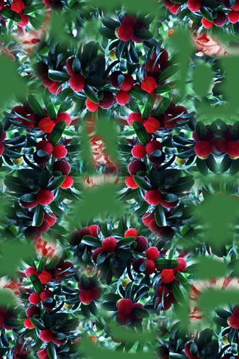 1168600-190111-俏皮水果-15-2