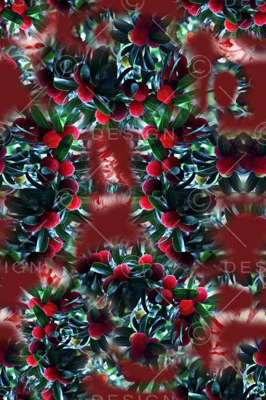 植物印花华亿平台图片