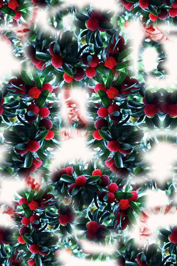 1168602-190111-俏皮水果-15-3