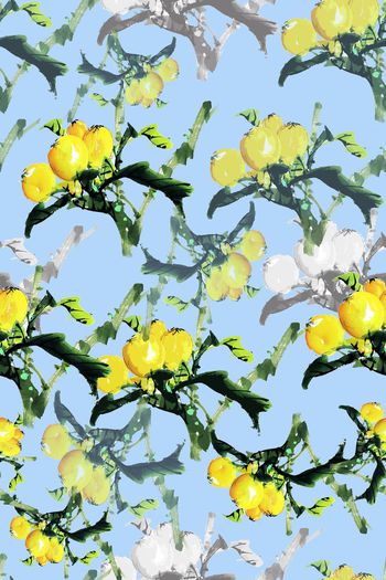 1168604-190111-俏皮水果-16-2