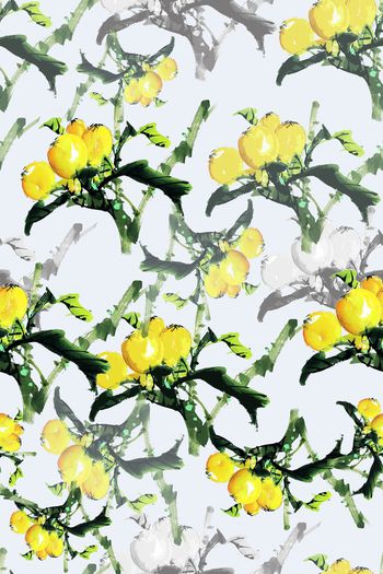 1168605-190111-俏皮水果-16-0