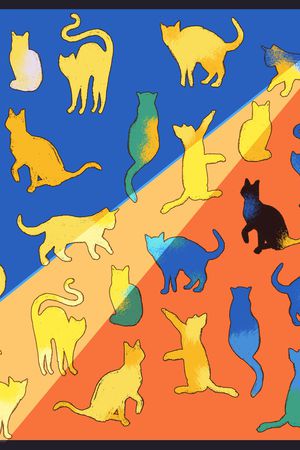 猫印花华亿平台图片