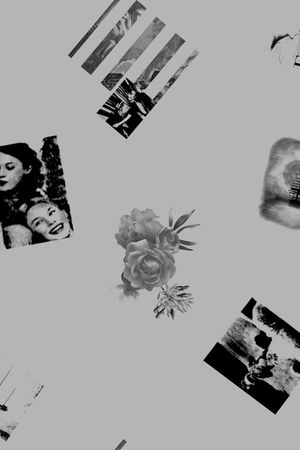 月亮印花华亿平台图片