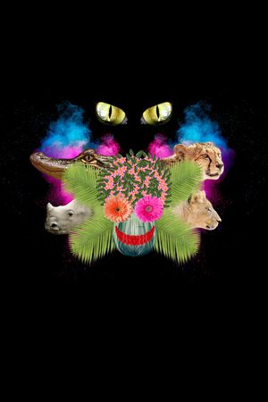 骷髅印花华亿平台图片