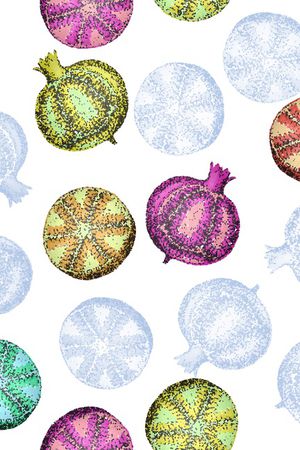 春夏华亿平台印花华亿平台图片