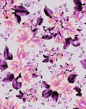 1170843-190111小百合紫色