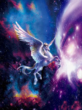 星空印花华亿平台图片