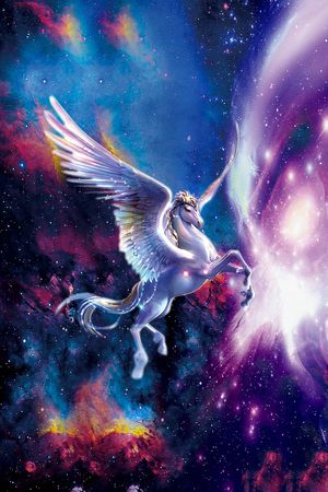 星空印花华亿平台图片