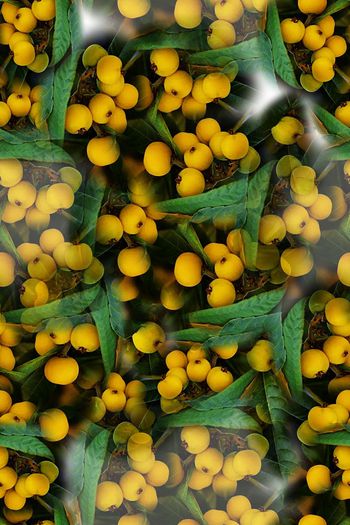 1171525-190111-俏皮水果-19-2