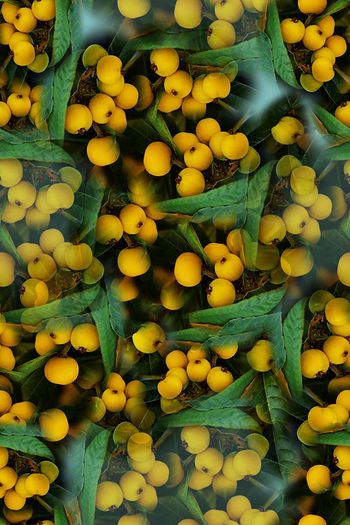 1171526-190111-俏皮水果-19-0