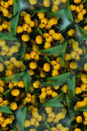 趣味印花华亿平台图片