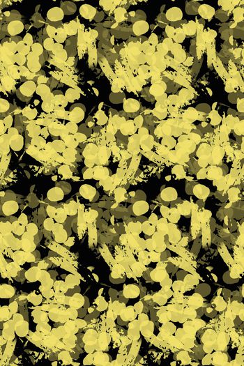 1171529-190112-nzhh-1-00