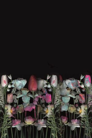 数码华亿平台印花华亿平台图片