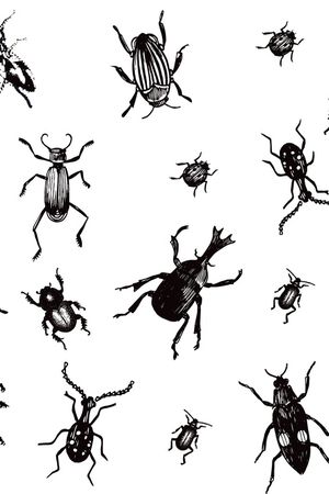 清爽底花卉印花华亿平台图片