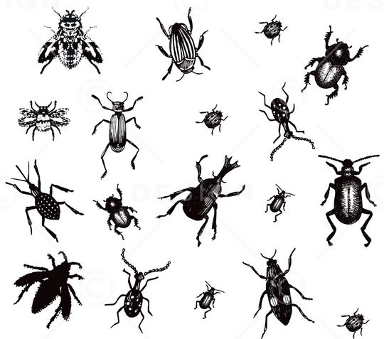 清爽底花卉印花华亿平台图片