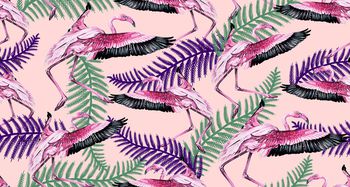 1172802-CJ-18 (239)3