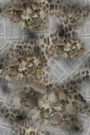 豹纹印花华亿平台图片