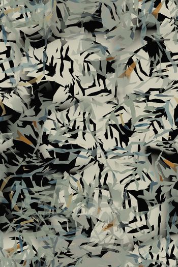 1173465-190119-nzhh-6-3