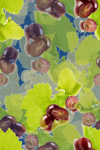 1173467-190119-俏皮水果-1-2