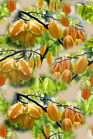 迷彩印花华亿平台图片