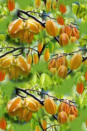 迷彩印花华亿平台图片