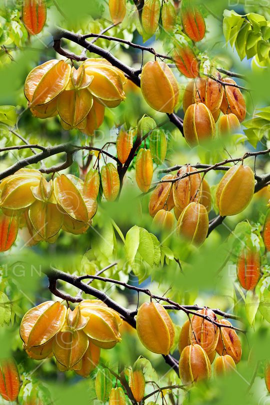 迷彩印花华亿平台图片