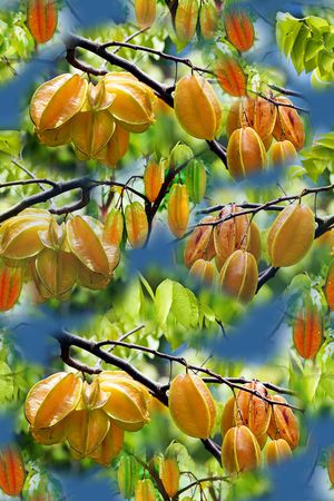 迷彩印花华亿平台图片