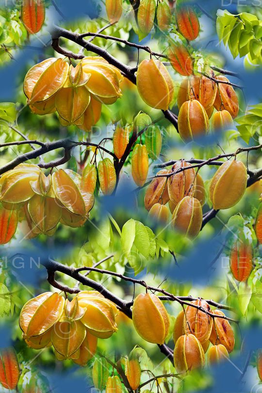 迷彩印花华亿平台图片