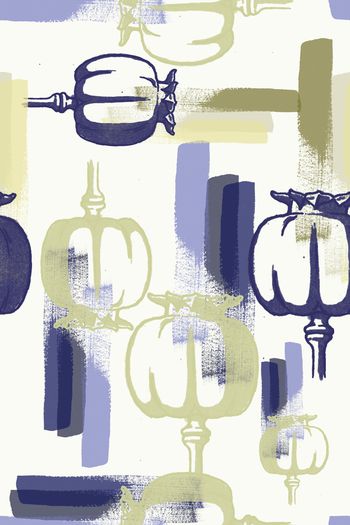 1175168-190127-nzhh-3-00