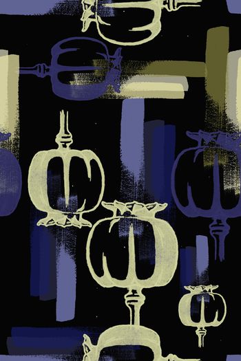 1175170-190127-nzhh-3-3