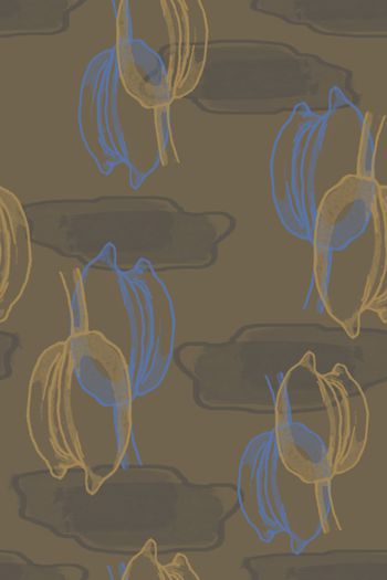 1175173-190127-nzhh-4-3