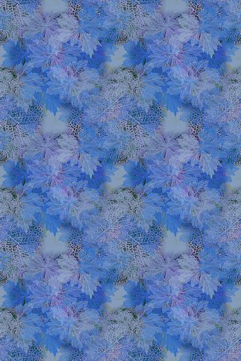 1176395-190225 12374-乡村生