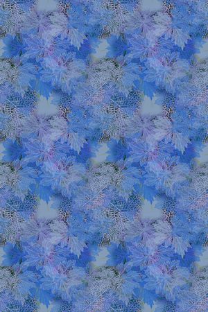 植物印花华亿平台图片