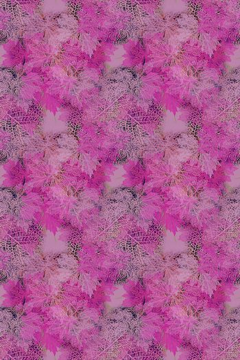 1176396-190225 12374-乡村生