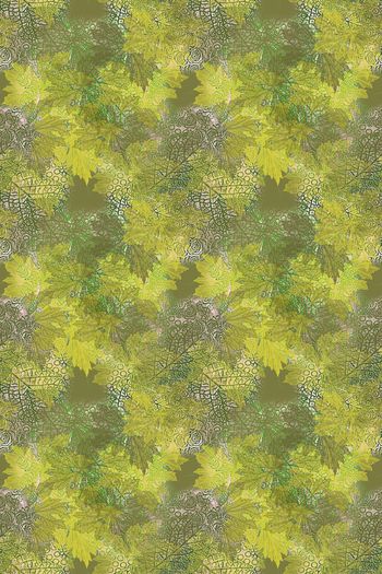 1176397-190225 12374-乡村生